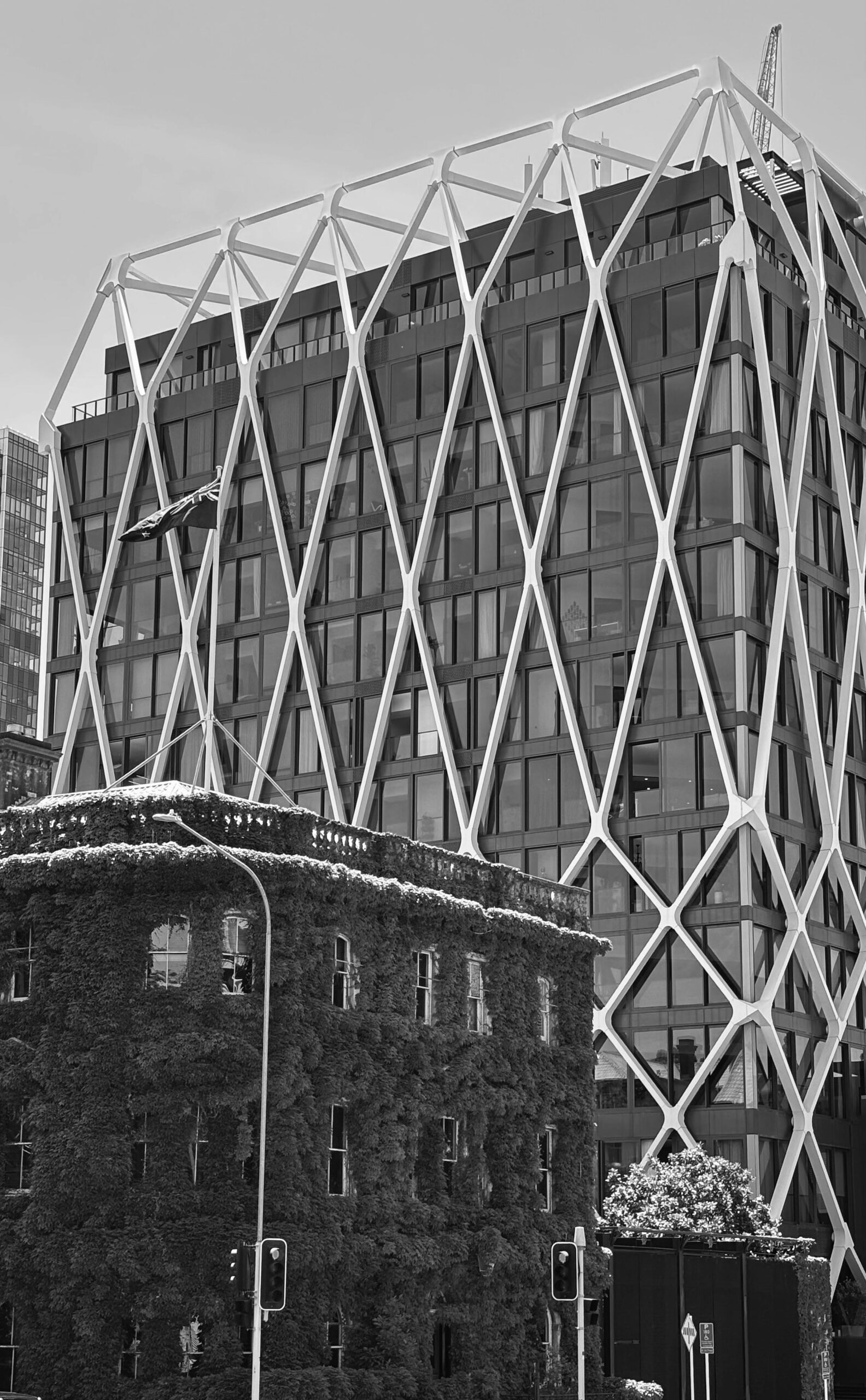 Modern Auckland office architecture